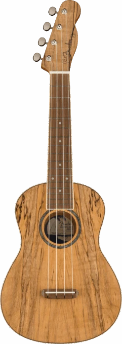 Fender Zuma Exotic Concert Ukulele, Walnut Fingerboard, Spalted Maple
