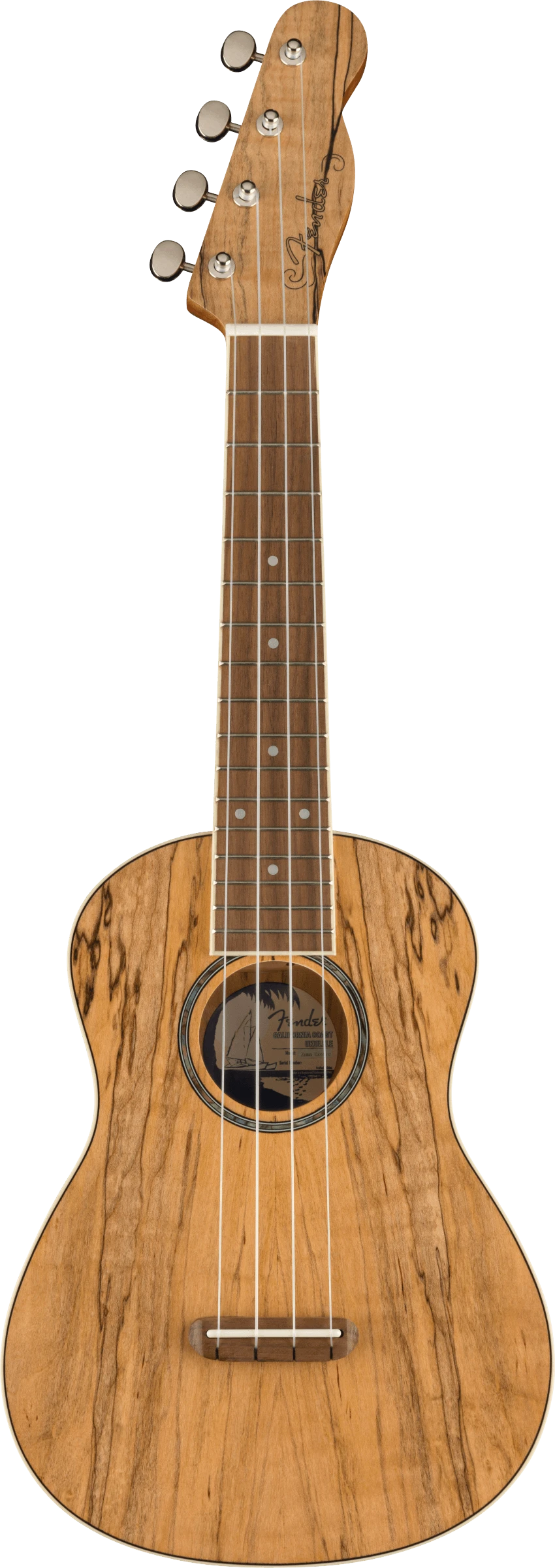 Fender Zuma Exotic Concert Ukulele, Walnut Fingerboard, Spalted Maple 1 Fender Zuma Exotic Concert Ukulele, Walnut Fingerboard, Spalted Maple