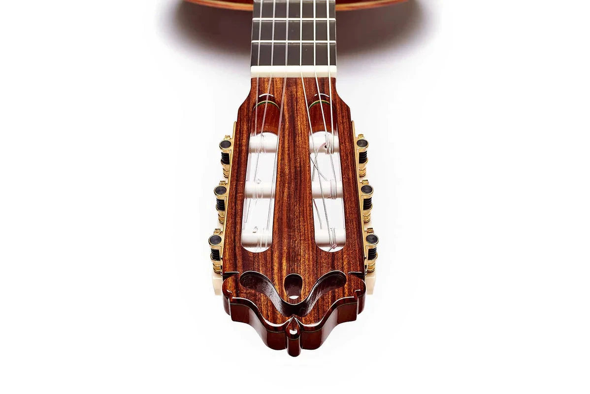 Esteve Model 12SP Adalid Spruce Top Classical Guitar 2 Esteve Model 12SP Adalid Spruce Top Classical Guitar - Image 2