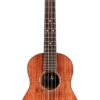 Cordoba 35T All Solid Acacia Tenor Ukulele W/ Bag