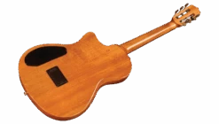 Cordoba Stage - Thin Body Nylon String Guitar, Edge Burst -Guitar Store 4 2 1755x998 92b47b17 eb42 45fd ac90 39d5da2de4c9