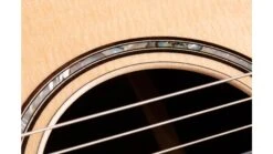 Taylor 812ce-N Acoustic Guitar 18 Taylor 812ce-N Acoustic Guitar -Guitar Store 812ceN Gallery5