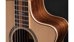 Taylor 812ce-N Acoustic Guitar 17 Taylor 812ce-N Acoustic Guitar -Guitar Store 812ceN Gallery6