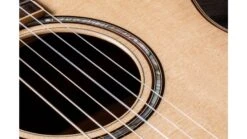 Taylor 812ce-N Acoustic Guitar 16 Taylor 812ce-N Acoustic Guitar -Guitar Store 812ceN Gallery7