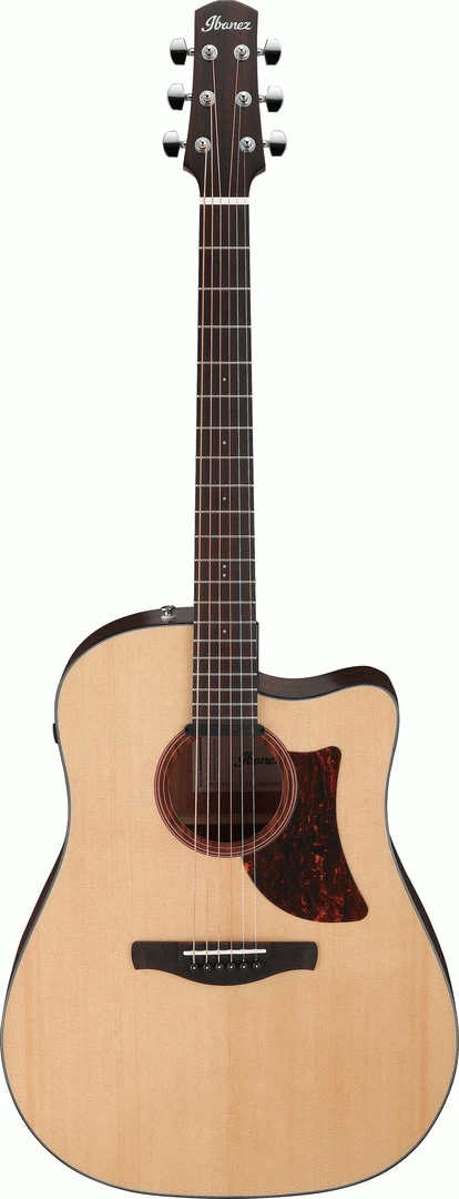 Ibanez AAD170CE LGS Advanced Acoustic 1 Ibanez AAD170CE LGS Advanced Acoustic