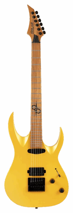 Solar AB1.6G Electric Guitar - Roasted Maple - Antique Gold Matte