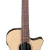 Ibanez AEG50 NNT Acoustic Guitar