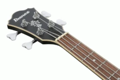 Ibanez AGB200 BKF Black Flat Artcore Bass Guitar 9 Ibanez AGB200 BKF Black Flat Artcore Bass Guitar -Guitar Store AGB200 BKF 5