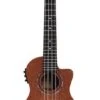 Alvarez RU22CCE Concert Electric Ukulele