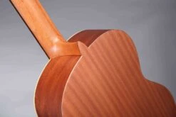 Altamira Basico -Guitar Store BAS heel