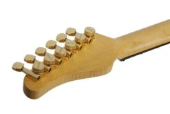 Schecter California Classic - Bengal Fade (Made In Japan W/ Hard Case) -Guitar Store CaliforniaClassic.BengalFade.14