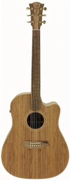 Cole Clark CCFL2EC-BLBL