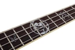 Schecter Dale Stewart Bass Bass Guitar 9 Schecter Dale Stewart Bass Bass Guitar -Guitar Store DaleStewartBass.04