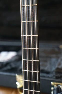 Spector USA Custom NS Bass - Buckeye Burl, 4-String W/ Aguilar Pickups -Guitar Store GFP 04634