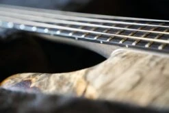 Spector USA Custom NS Bass - Buckeye Burl, 4-String W/ Aguilar Pickups -Guitar Store GFP 04641