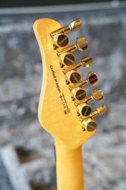 Schecter California Classic - Bengal Fade (Made In Japan W/ Hard Case) -Guitar Store GFP 231116 DSC05462