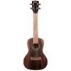 Kala KA-EBY-C Striped Ebony Concert Ukulele