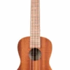 Kala KA-C Satin Mahogany Concert Ukulele