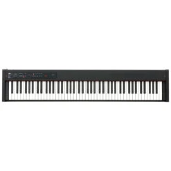 Korg D1 Digital Piano (Black)