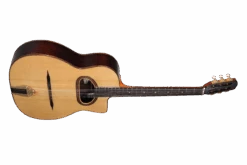 Altamira M01 -Guitar Store M01D