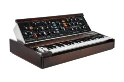 Moog Minimoog Model D