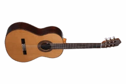 Altamira N300 -Guitar Store N300