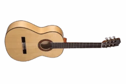 Altamira N300F -Guitar Store N300F