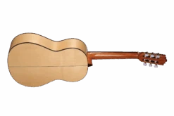 Altamira N300F -Guitar Store N300F back