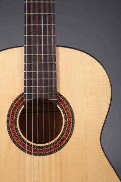 Altamira N300F -Guitar Store N300F rosette