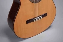 Altamira N300 -Guitar Store N300 bridge