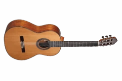 Altamira N500 8 Altamira N500 -Guitar Store N500 front