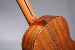 Altamira N500 11 Altamira N500 -Guitar Store N500 heel