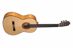 Altamira N700F -Guitar Store N700F