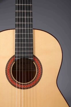 Altamira N700F -Guitar Store N700F 1