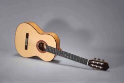 Altamira N700F -Guitar Store N700F 2
