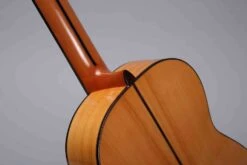 Altamira N700F -Guitar Store N700F 4