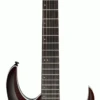Ibanez RGA42FM DEF