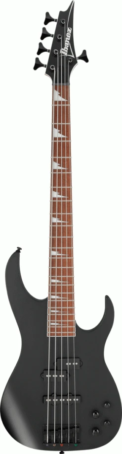 Ibanez RGB305 BKF Electric Bass 5 String
