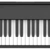 Roland FP-30X Digital Piano Black