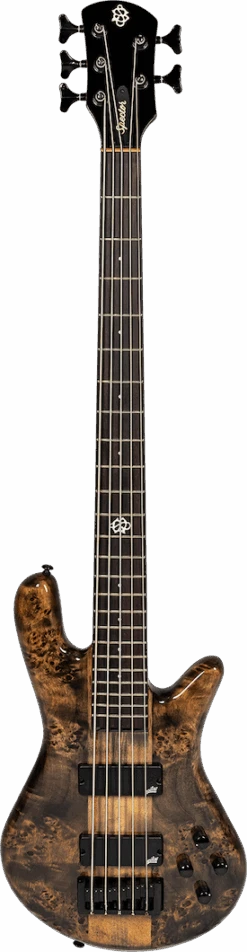 Spector NS ETHOS 5 Super Faded Black Gloss