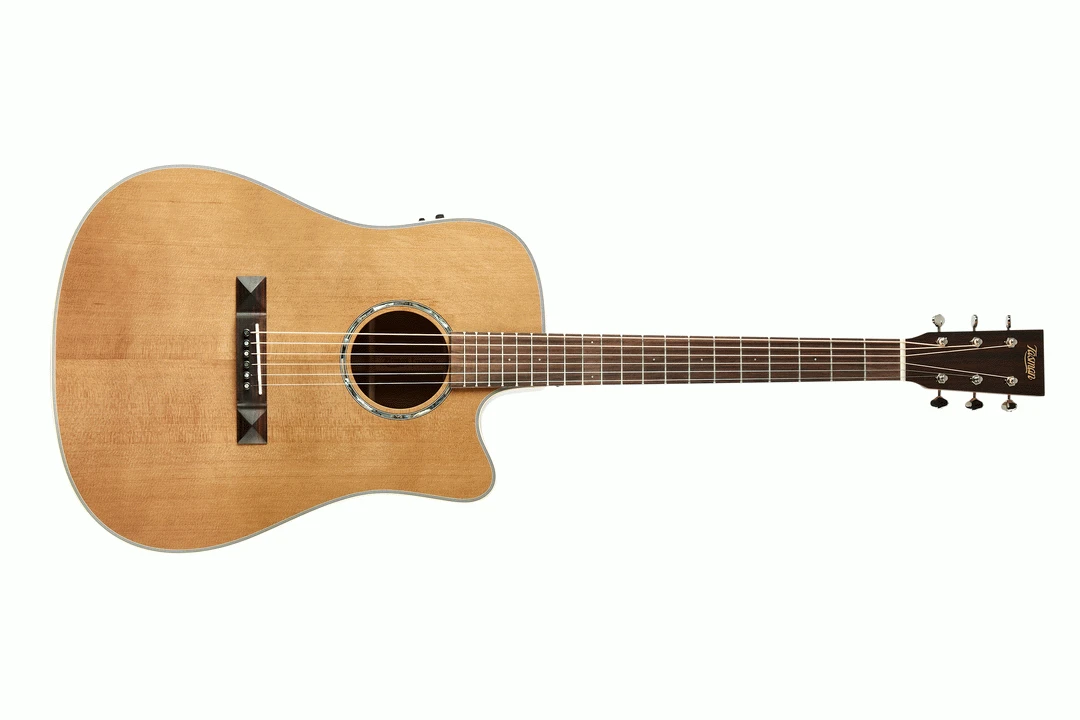 Tasman TA100-CE Cutaway Acoustic Electric With Case 4 Tasman TA100-CE Cutaway Acoustic Electric With Case - Image 4