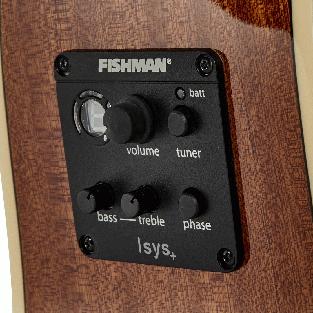 Tasman TA100-CE Cutaway Acoustic Electric With Case 5 Tasman TA100-CE Cutaway Acoustic Electric With Case - Image 5