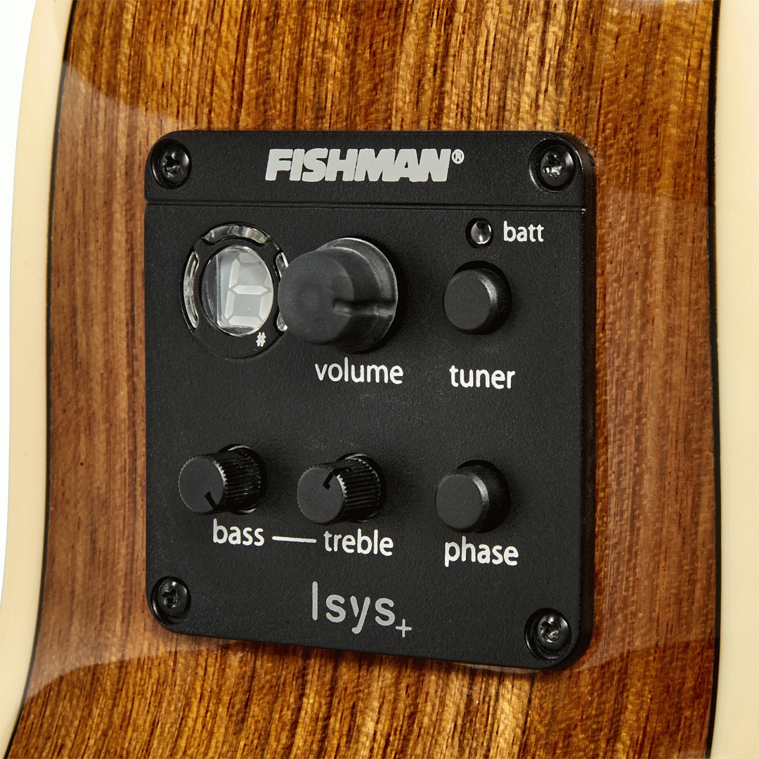 Tasman TA100M-E Mini Jumbo With Case 5 Tasman TA100M-E Mini Jumbo With Case - Image 5