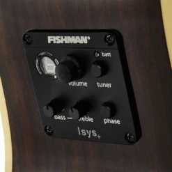 Tasman TA200GS-CE GS Acoustic Electric With Case -Guitar Store TA200GSCE 4