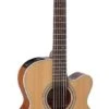 Takamine GN20CE-NS