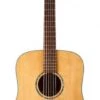 Tasman TA100 Acoustic With Case