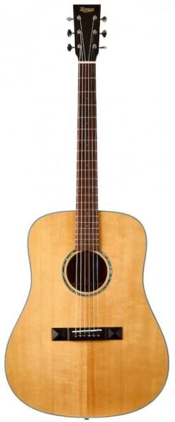 Tasman TA100 Acoustic With Case