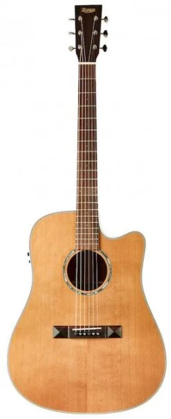 Tasman TA100-CE Cutaway Acoustic Electric With Case