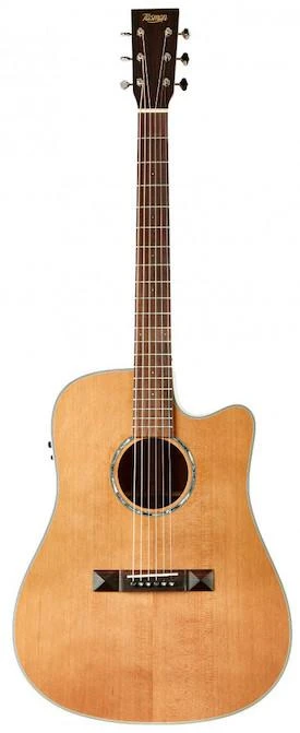 Tasman TA100-CE Cutaway Acoustic Electric With Case 1 Tasman TA100-CE Cutaway Acoustic Electric With Case