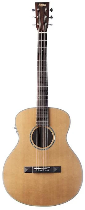 Tasman TA100M-E Mini Jumbo With Case 1 Tasman TA100M-E Mini Jumbo With Case